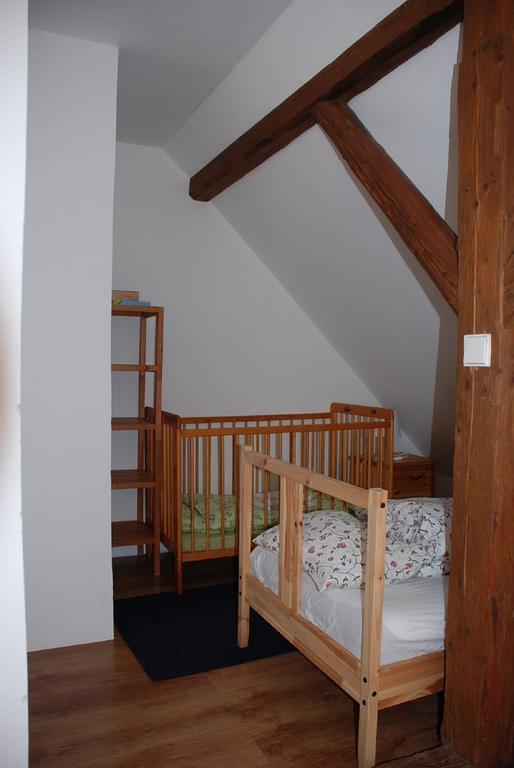 Kamberk Biofarma Dolejsi Mlynヴィラ 部屋 写真