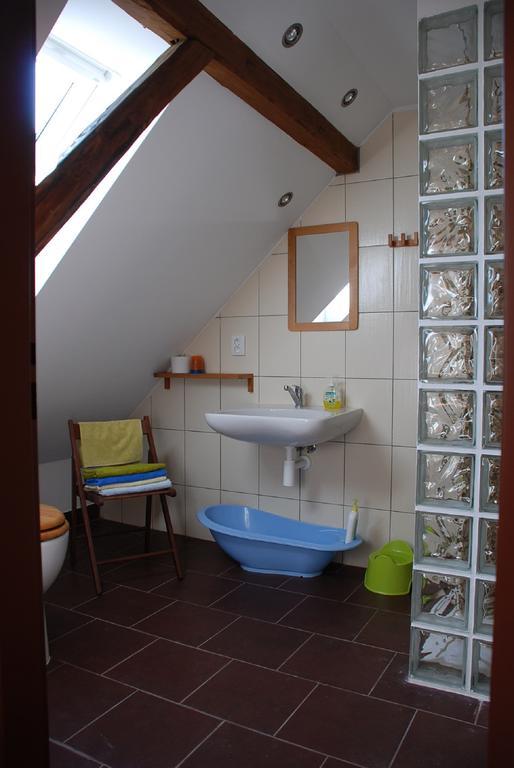 Kamberk Biofarma Dolejsi Mlynヴィラ 部屋 写真