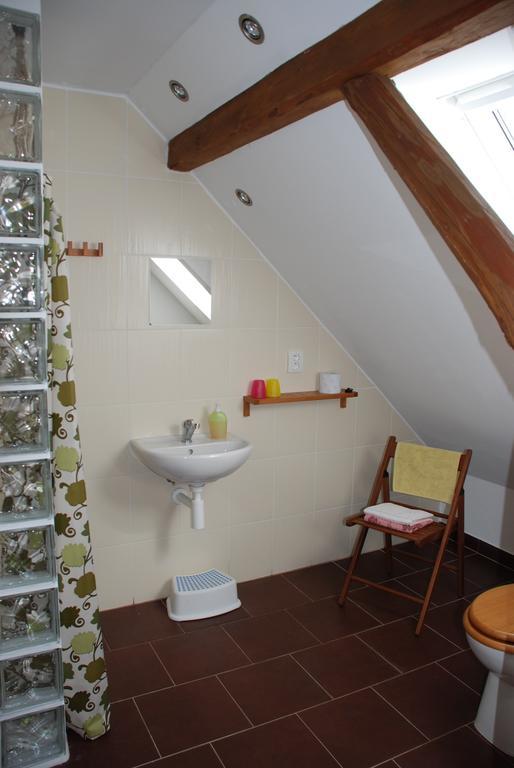 Kamberk Biofarma Dolejsi Mlynヴィラ 部屋 写真
